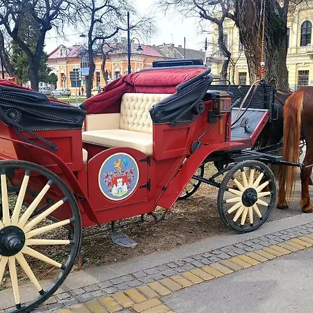 Restoran Orijent 5 4*